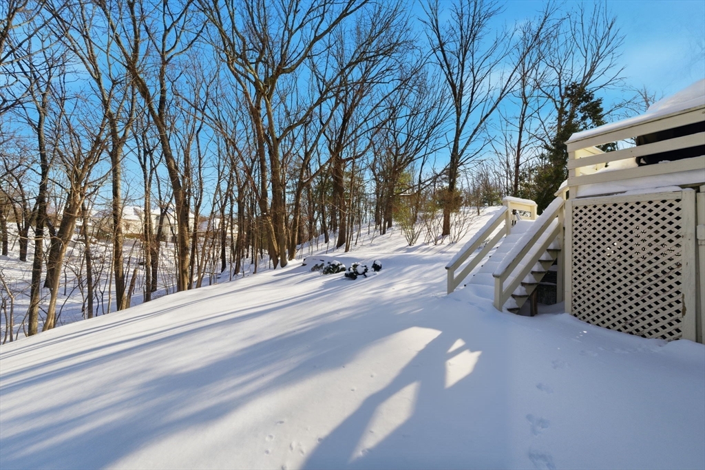 19 Indian Hill Road Woburn, MA 01801 - Photo 27 of 32