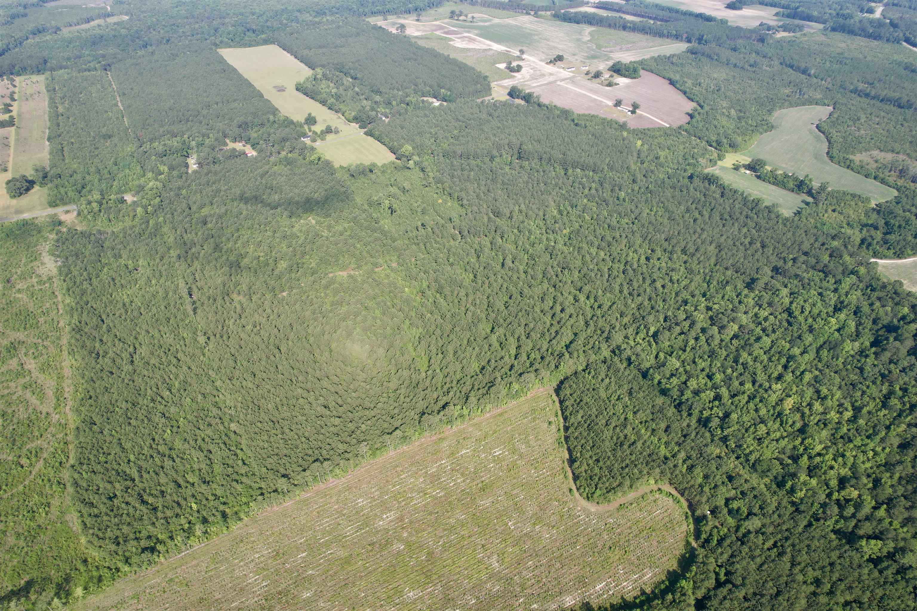 101.49-acres - Epps Road New Zion, SC 29111 - Photo 22 of 24