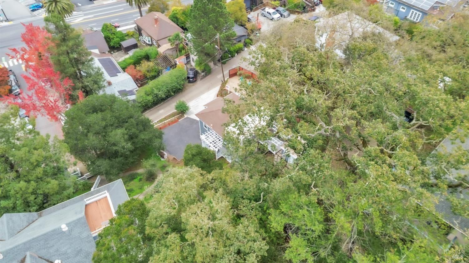 11 Jessup Street San Rafael, CA 94901 - Photo 41 of 54