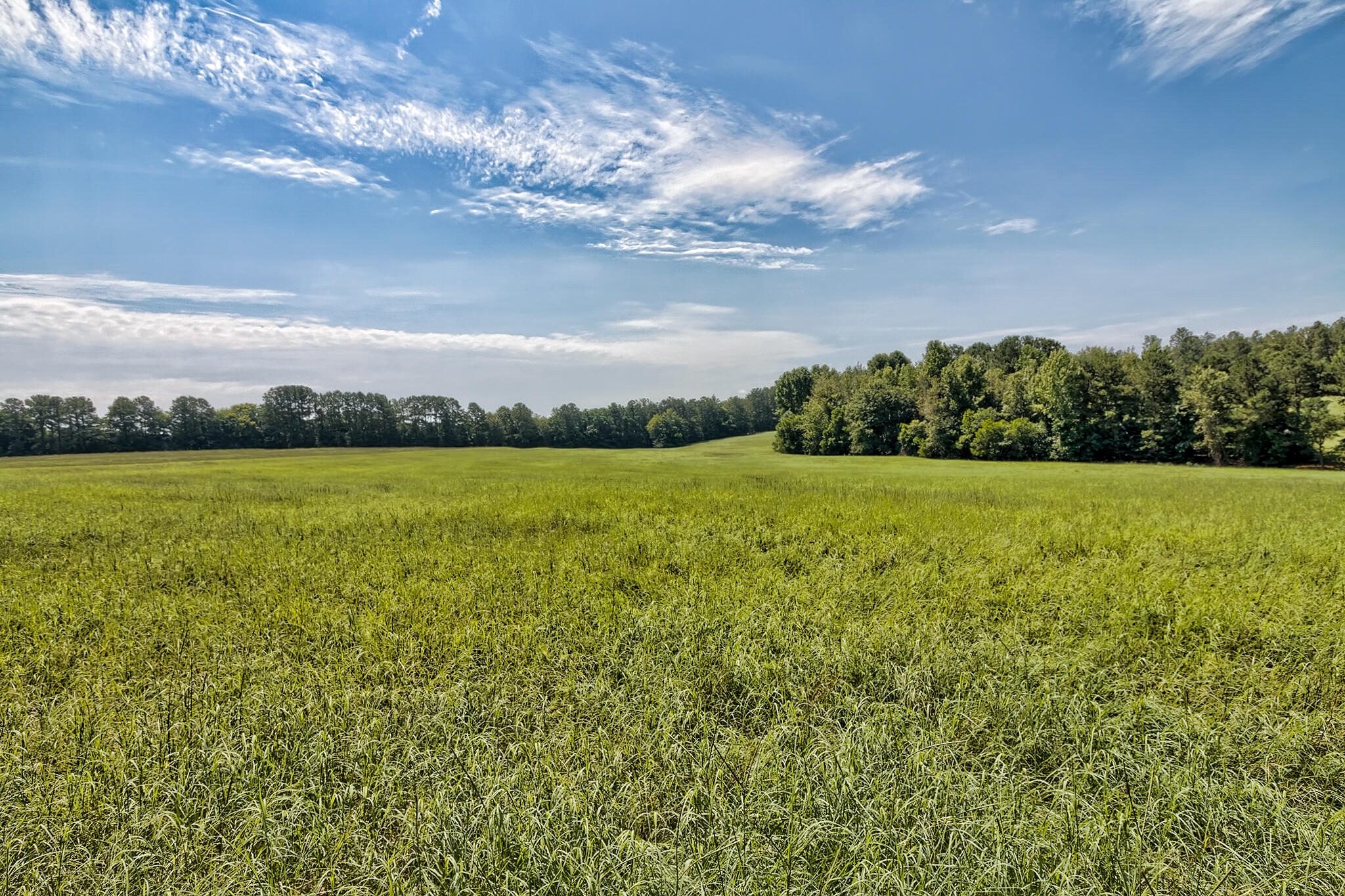 1290 Richardsons Lake Road Aiken, SC 29803 - Photo 38 of 101