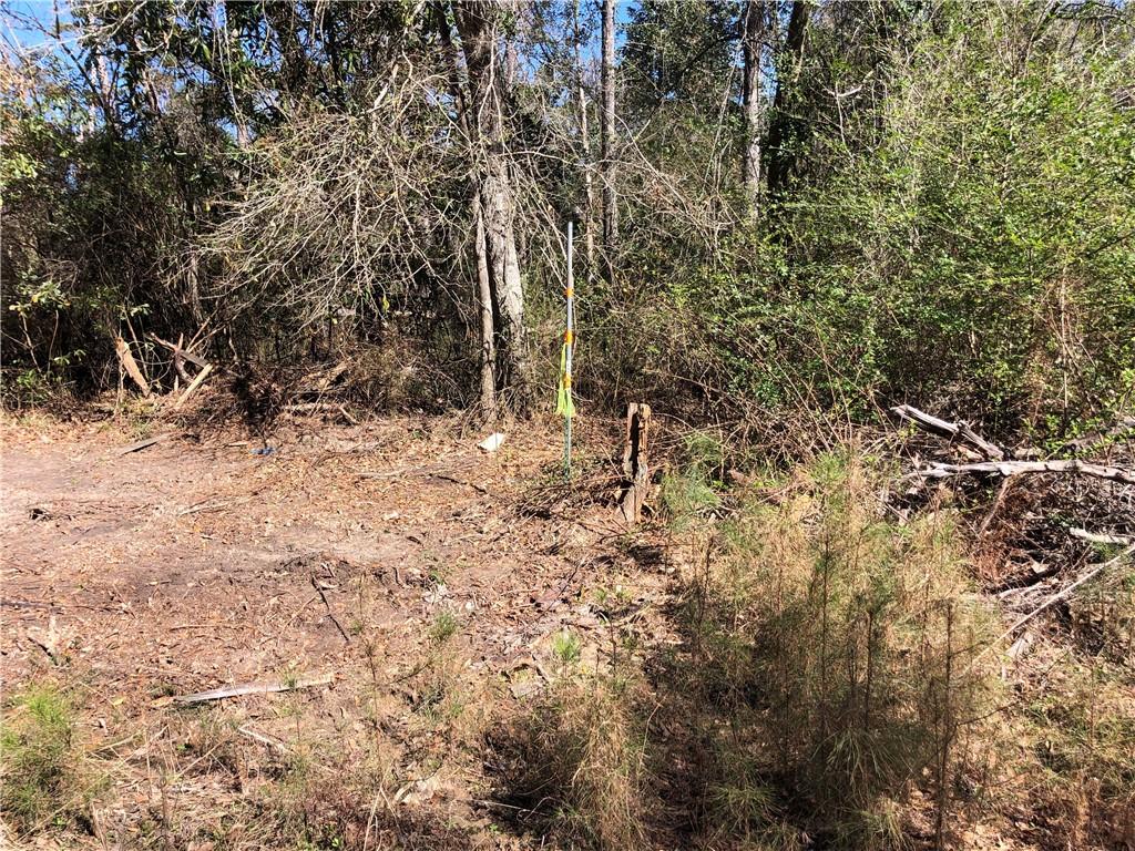 0 La Highway Covington, LA 70433 - Photo 5 of 8
