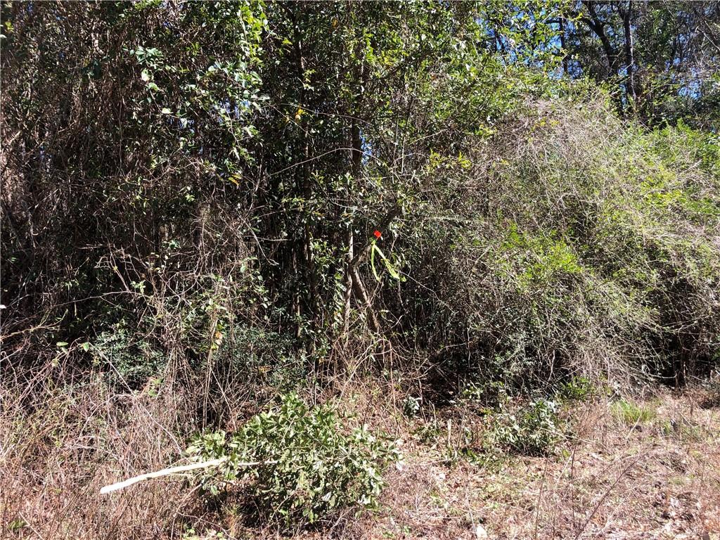 0 La Highway Covington, LA 70433 - Photo 7 of 8