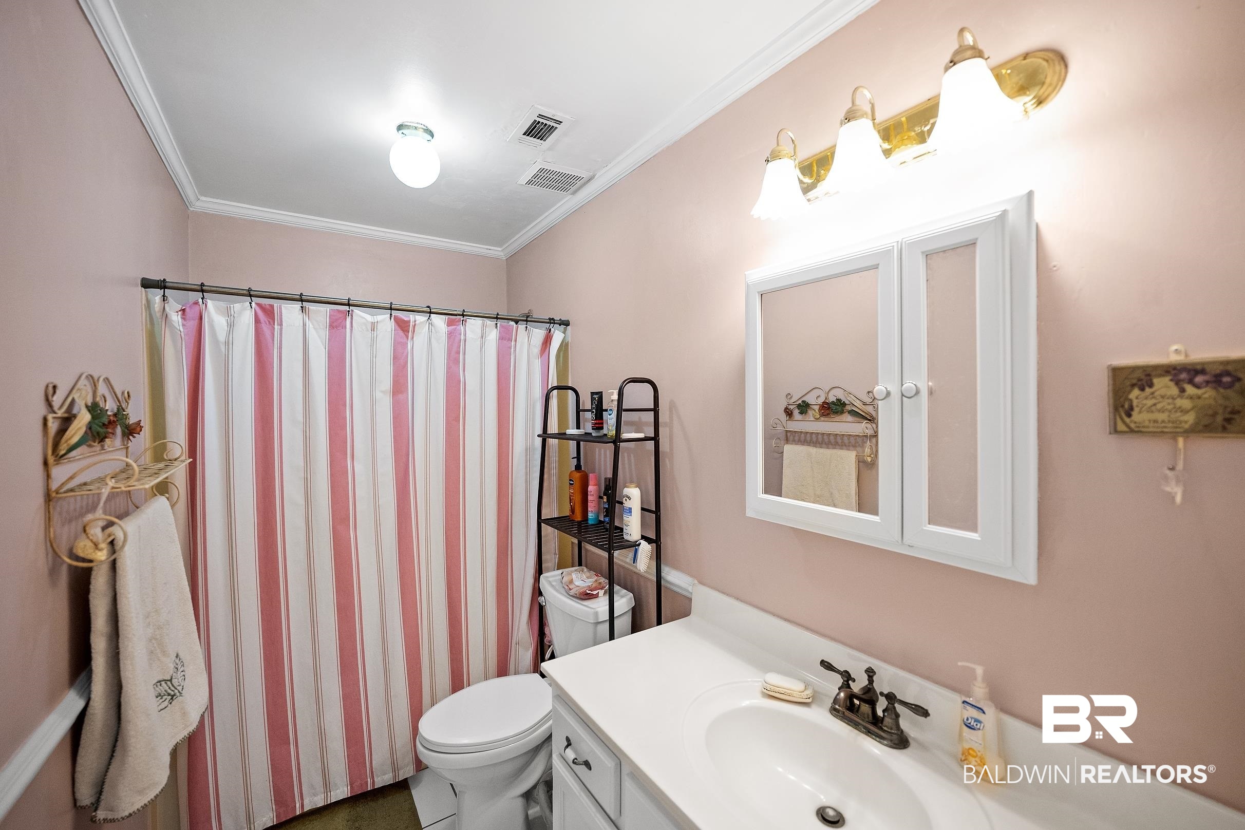 4026 Kingsrow Row Mobile, AL 36619 - Photo 36 of 51 Bathroom featuring vanity, a shower with shower curtain, and crown molding