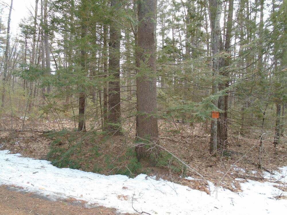 Tbd Clark Road Wells, ME 04090 - Photo 5 of 7 DSC02155