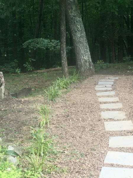 460 Mate Allen Road Gainesboro, TN 38562 - Photo 41 of 49 a view of a pathway of a house