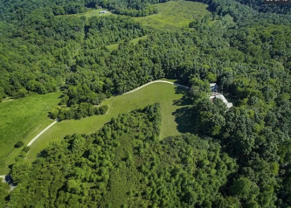 460 Mate Allen Road Gainesboro, TN 38562 - Photo 43 of 49 a view of a forest with a park