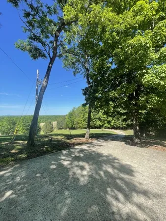 a view of a yard with a tree