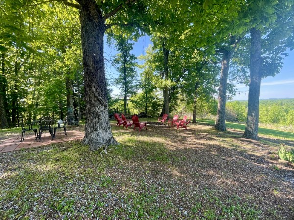 460 Mate Allen Road Gainesboro, TN 38562 - Photo 10 of 49 a view of a tree in the middle of a yard
