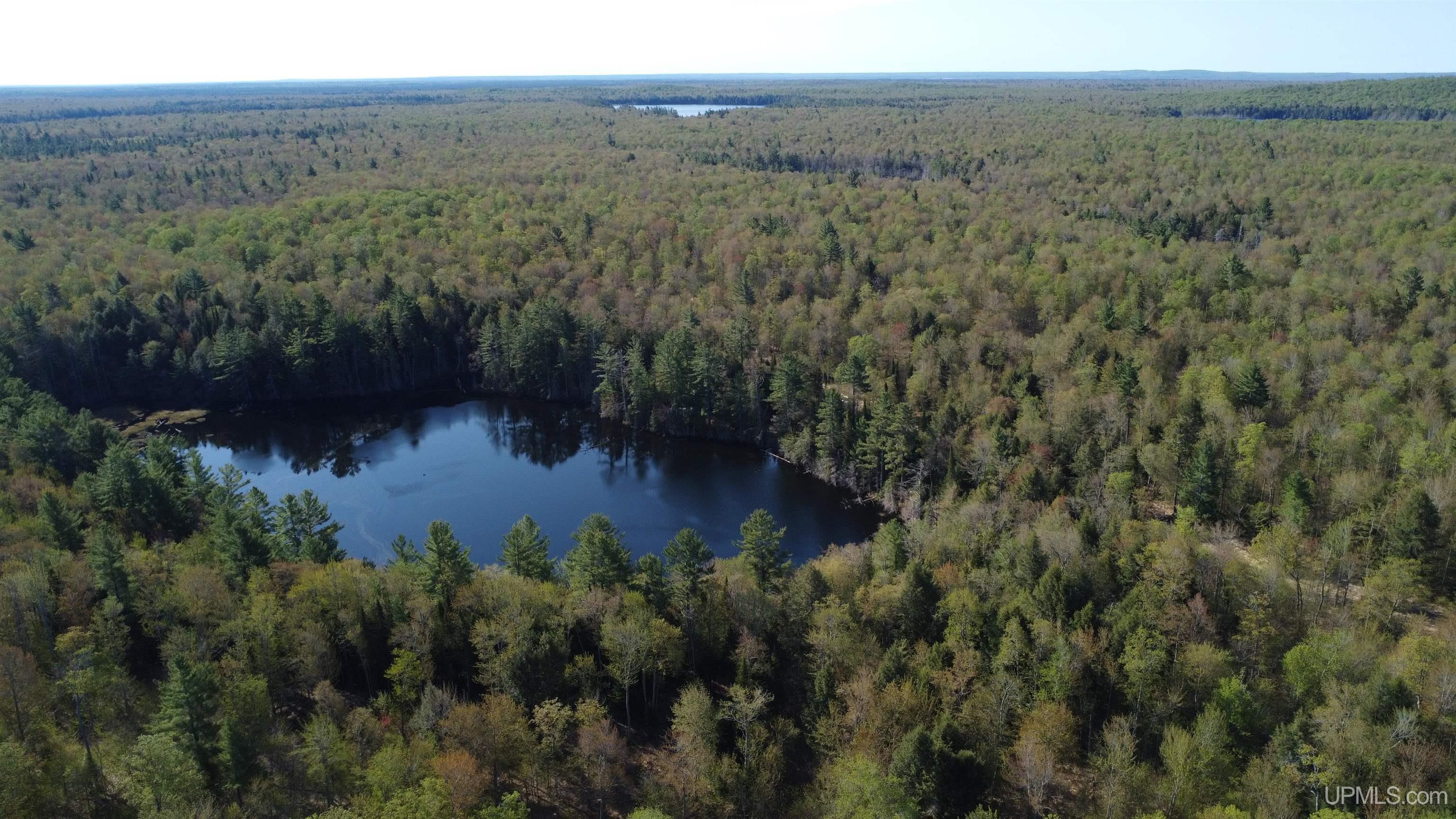 On Wolf Lake Road McMillan, MI 49853 - Photo 12 of 37