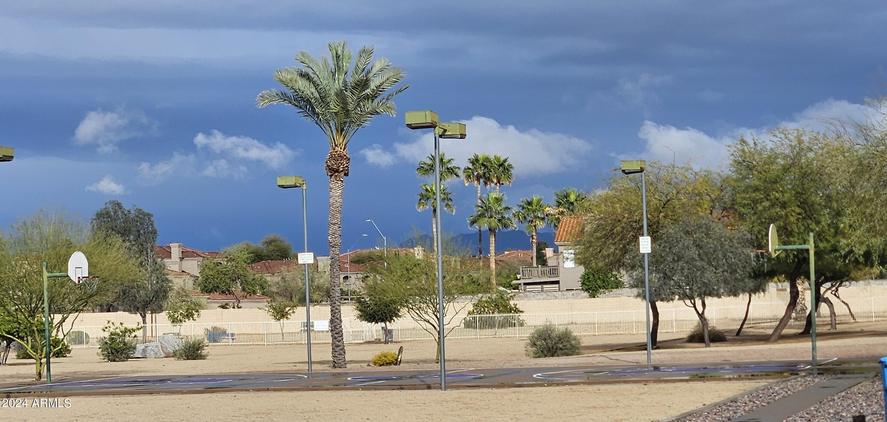 948 East Grandview Road Phoenix, AZ 85022 - Photo 42 of 43 a view of a flower in front of a building