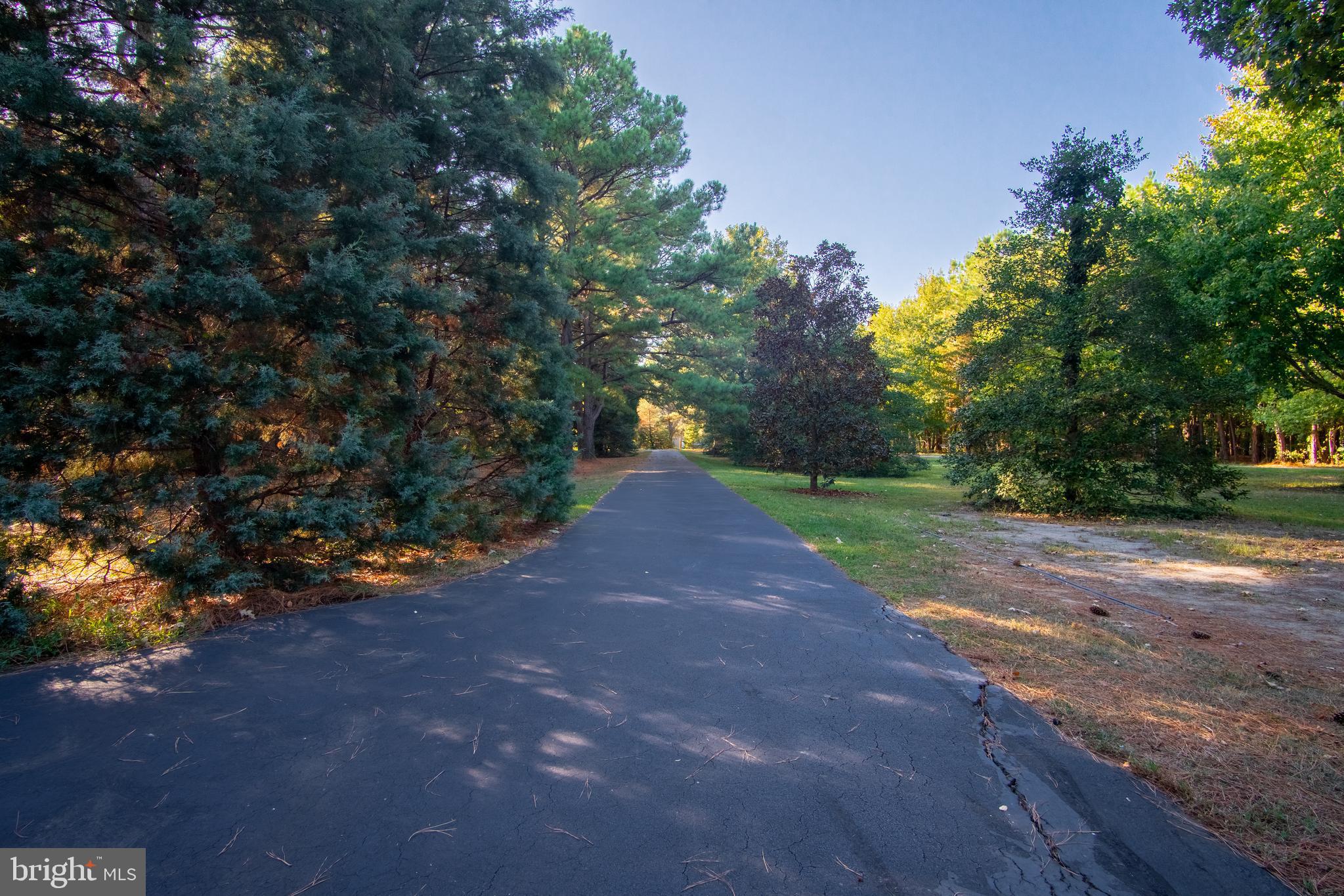 49701 Airedele Road Ridge, MD 20680 - Photo 44 of 53 Paved driveway leading to the house