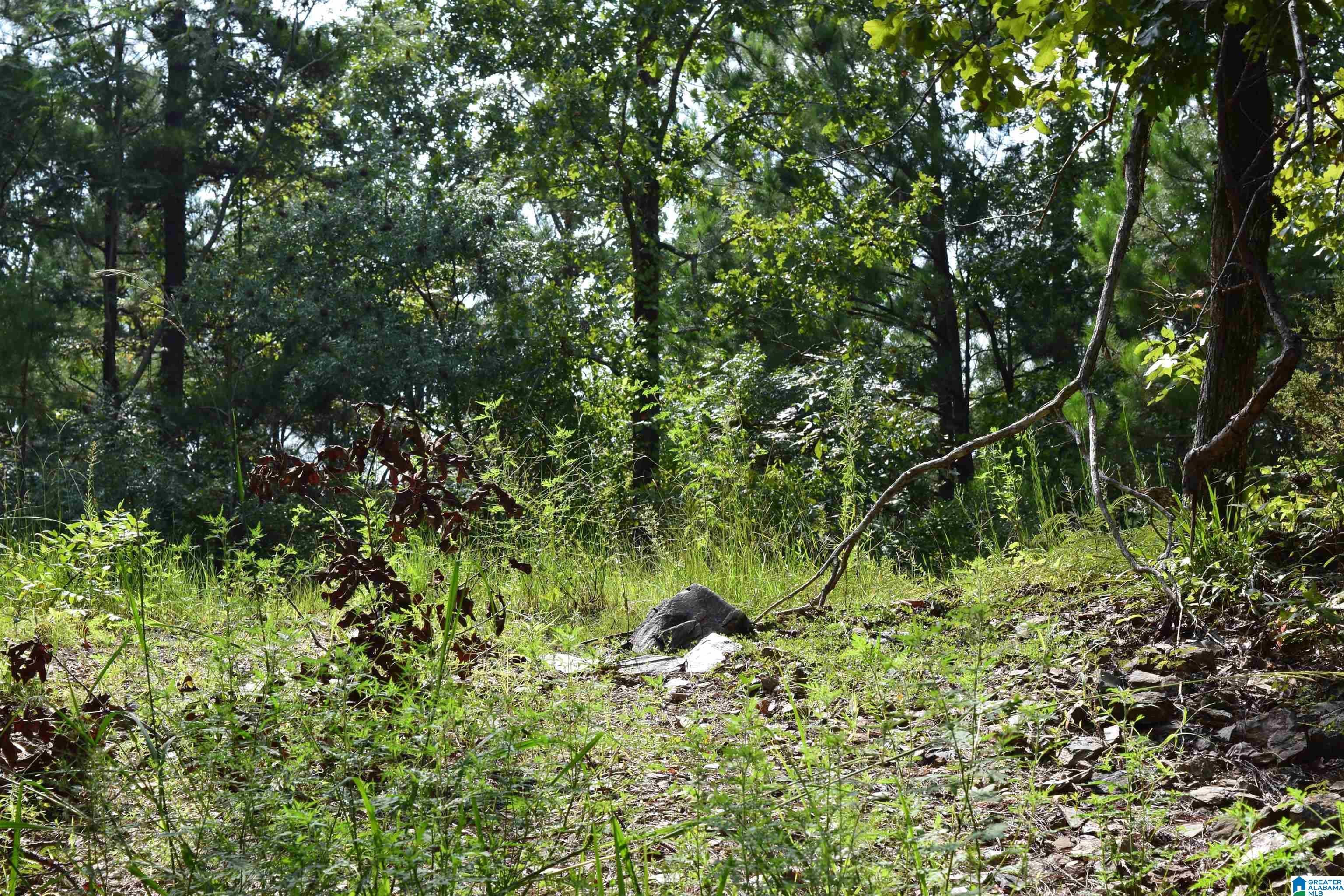 919 County Road Clanton, AL 35046 - Photo 8 of 8