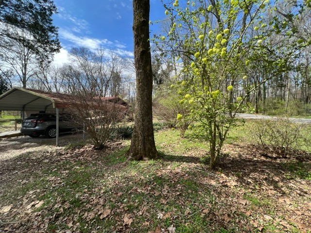 784 Blue Spring Road Decherd, TN 37324 - Photo 14 of 30 Gallery Image 14