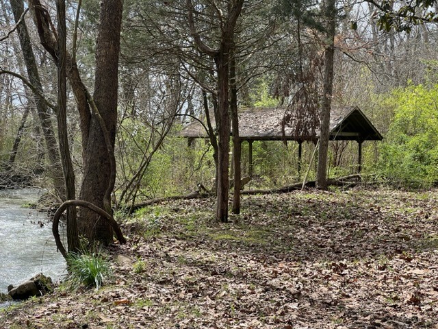 784 Blue Spring Road Decherd, TN 37324 - Photo 21 of 30 Gallery Image 21