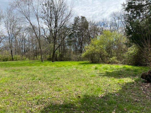 784 Blue Spring Road Decherd, TN 37324 - Photo 29 of 30 Gallery Image 29