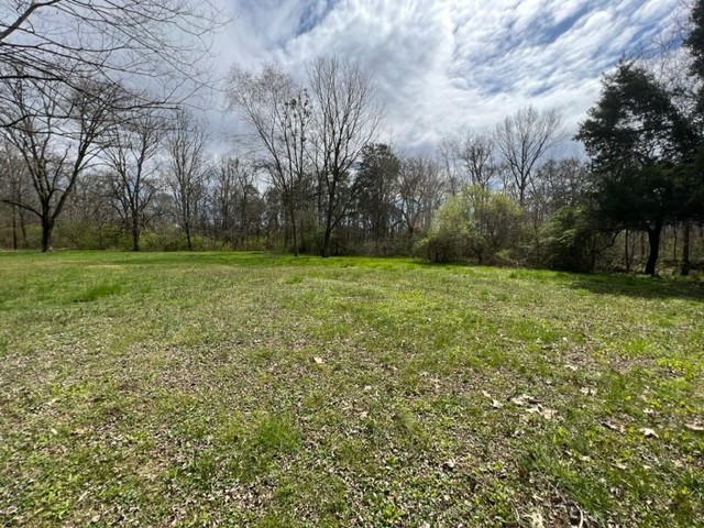 784 Blue Spring Road Decherd, TN 37324 - Photo 30 of 30 Gallery Image 30