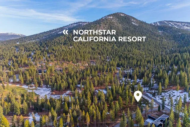 a view of a bunch of trees and flowers