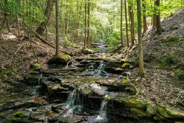 $1,000,000 | 110 Falls Lane, Spencer, TN 38585