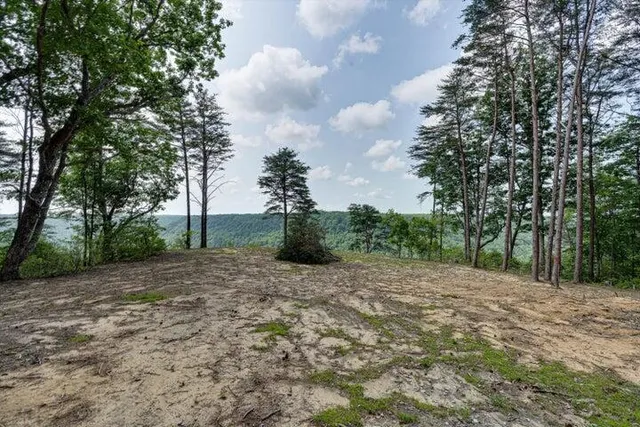 $1,000,000 | 110 Falls Lane, Spencer, TN 38585