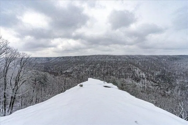 $1,000,000 | 110 Falls Lane, Spencer, TN 38585