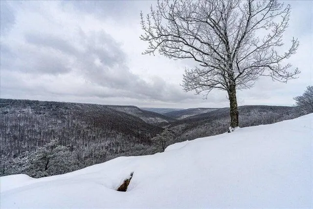 $1,000,000 | 110 Falls Lane, Spencer, TN 38585