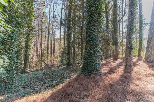 $579,000 | 1409 Silver Thorne Court, Loganville, GA 30052