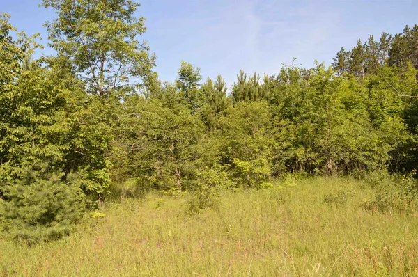 $27,500 | Northeast Holly Road, Unit LOT: A, Kalkaska, MI 49646