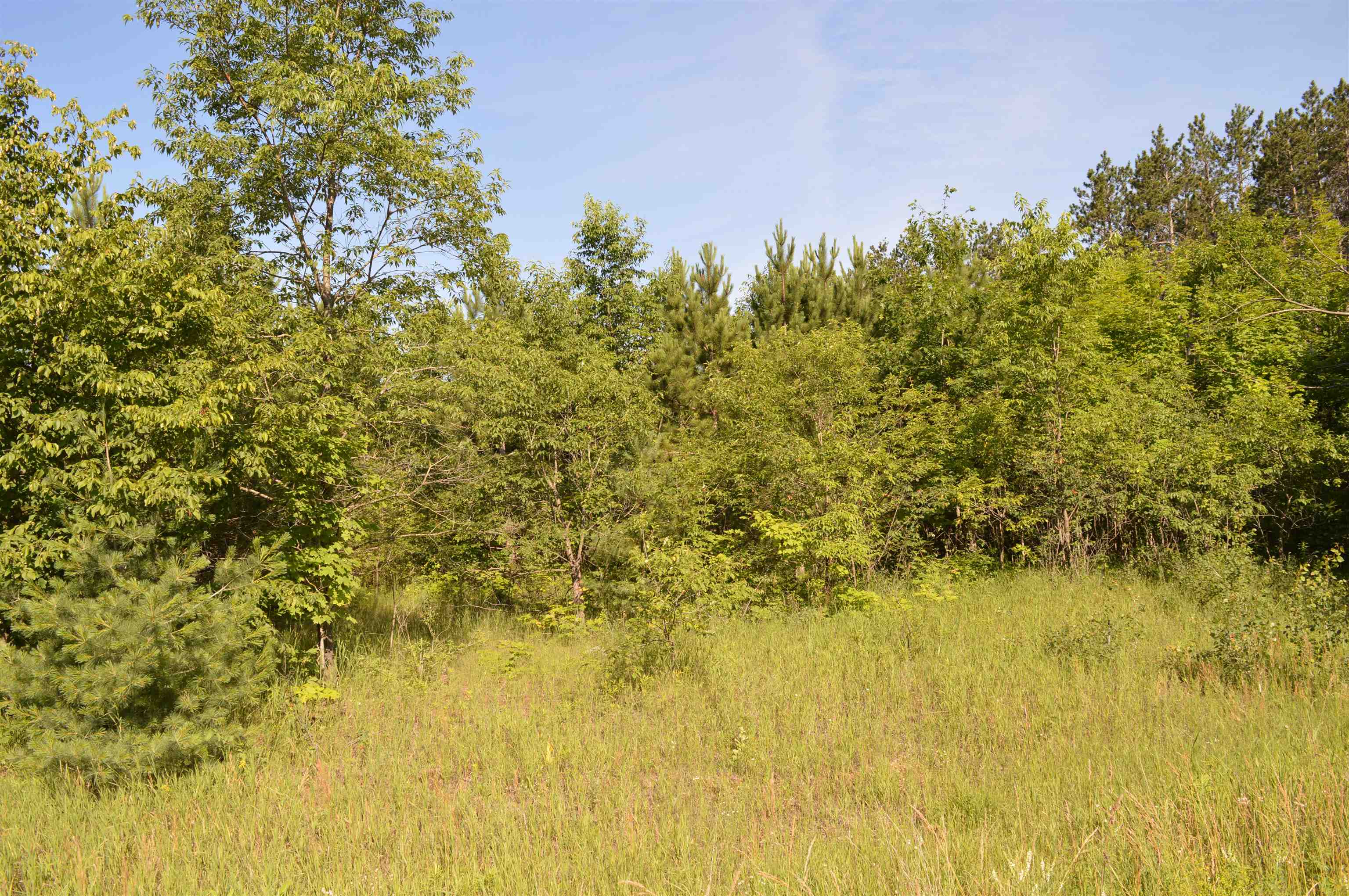 Northeast Holly Road, Unit LOT: A Kalkaska, MI 49646 - Photo 1 of 27