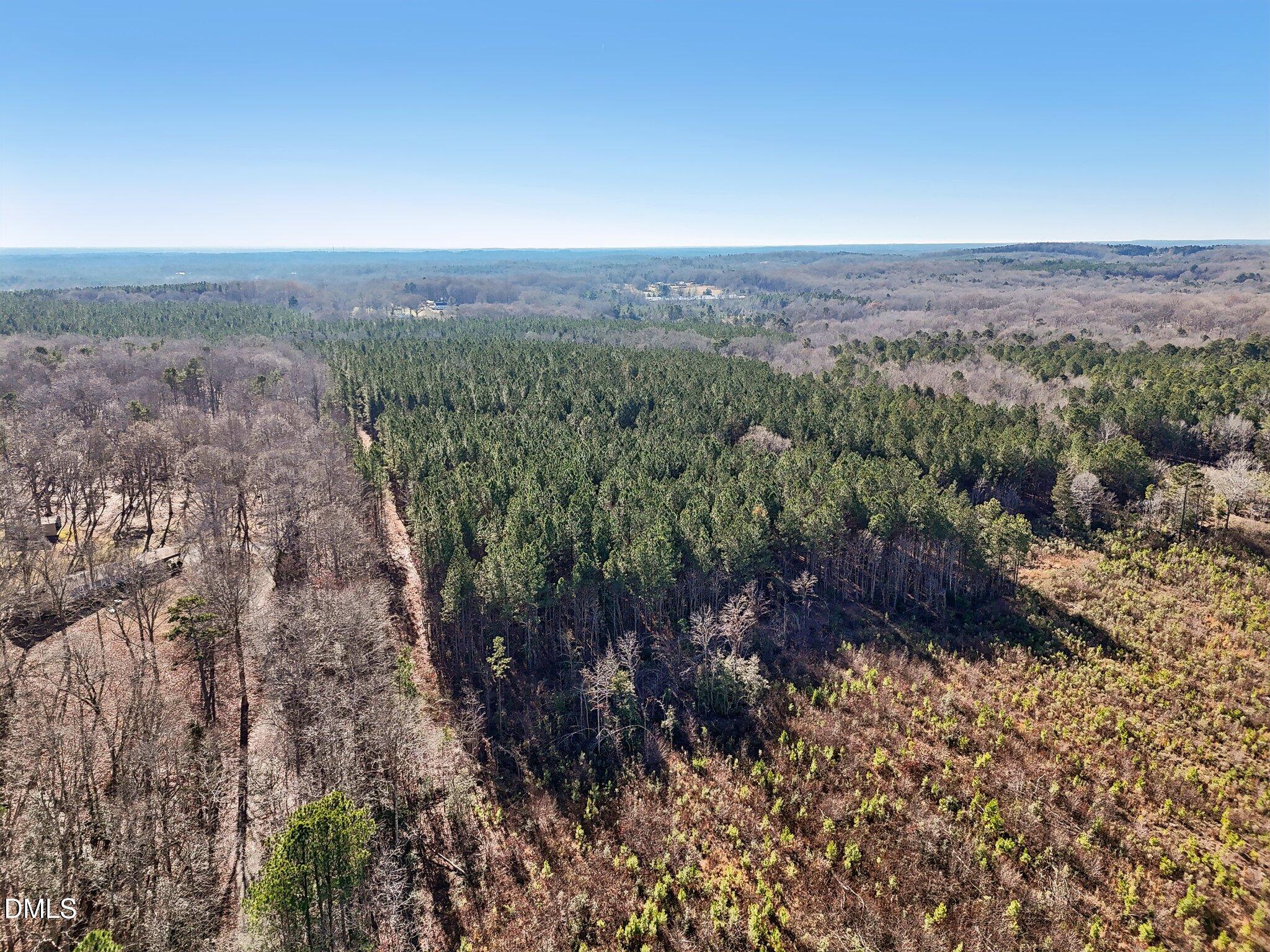 0 Dewitt Smith Road Pittsboro, NC 27312 - Photo 1 of 6 a view of a city with lush green forest