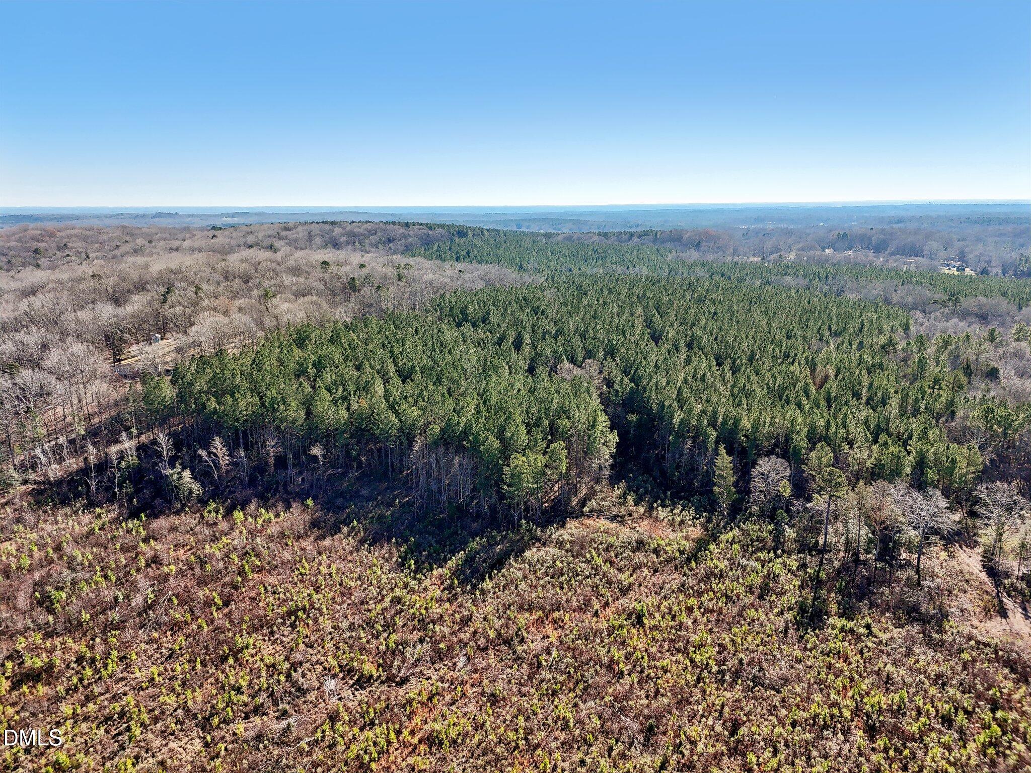 0 Dewitt Smith Road Pittsboro, NC 27312 - Photo 2 of 6 a view of a yard with a tree