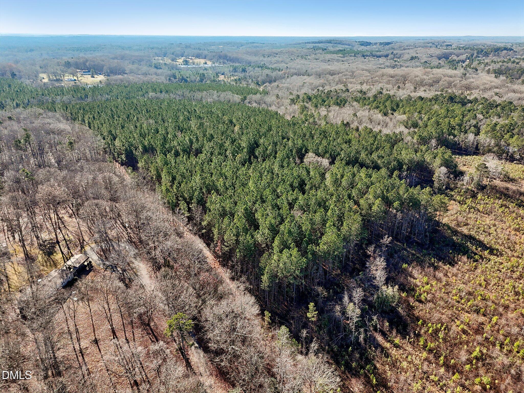 0 Dewitt Smith Road Pittsboro, NC 27312 - Photo 3 of 6 a view of a big yard with lots of green space