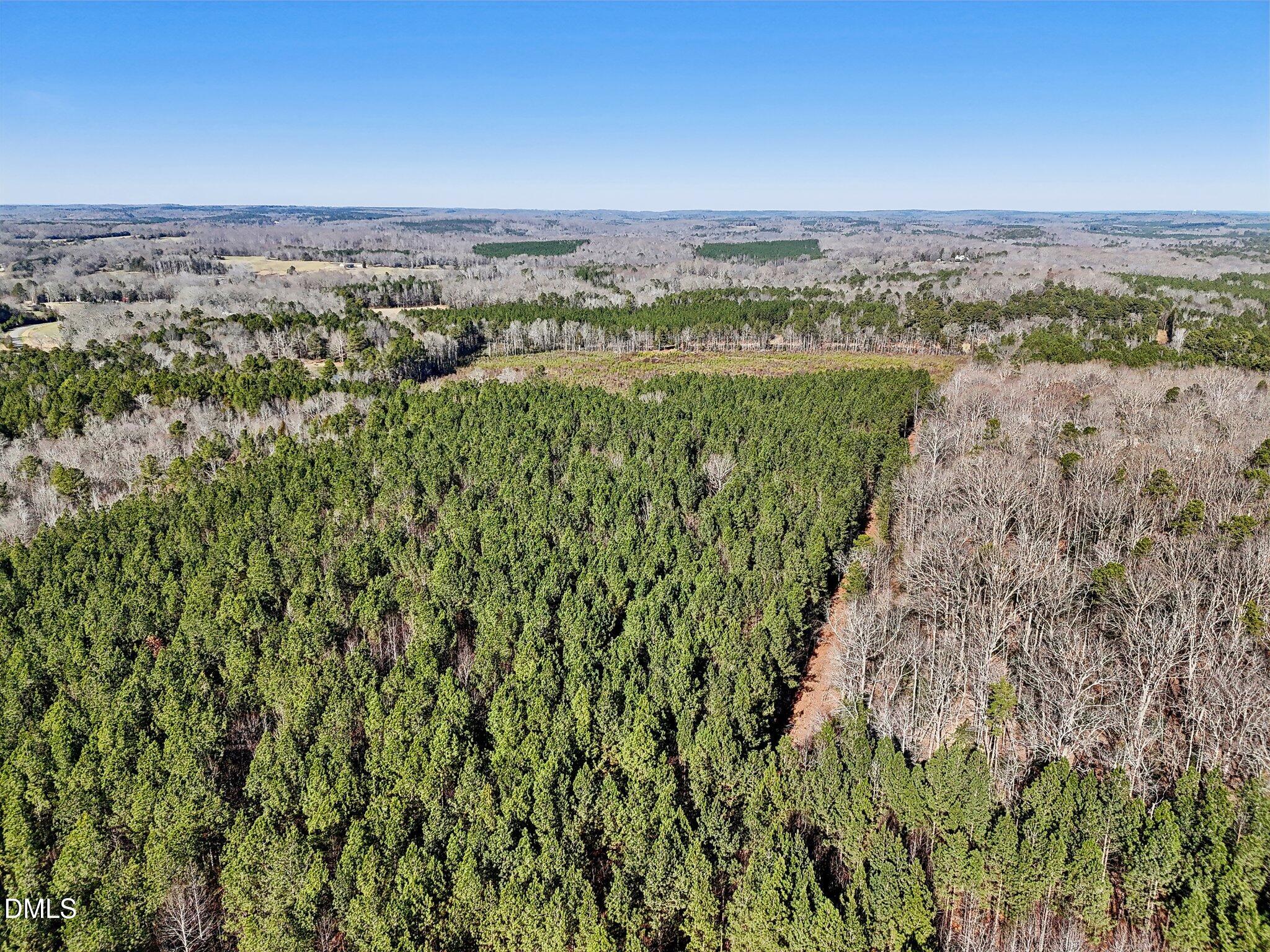 0 Dewitt Smith Road Pittsboro, NC 27312 - Photo 4 of 6 a view of a city with lush green forest