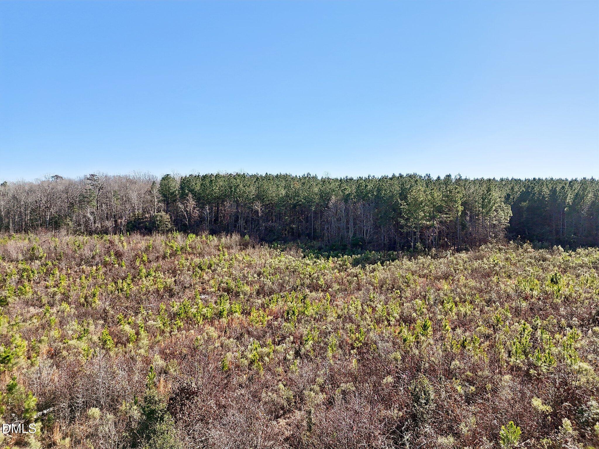 0 Dewitt Smith Road Pittsboro, NC 27312 - Photo 6 of 6