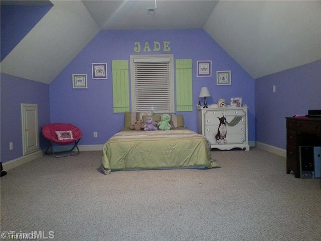 2923 Emerald Farm Road Climax, NC 27233 - Photo 12 of 16 Bonus.