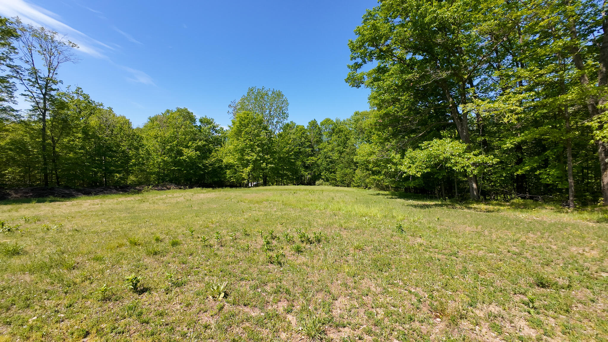 4196 West 4 Mile Road White Cloud, MI 49349 - Photo 51 of 65 DJI_20260527113807_0071_D