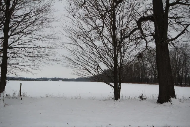 $130,000 | 8016 East X Y Avenue, Vicksburg, MI 49097