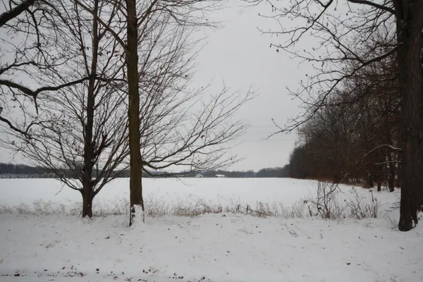 $130,000 | 8016 East X Y Avenue, Vicksburg, MI 49097