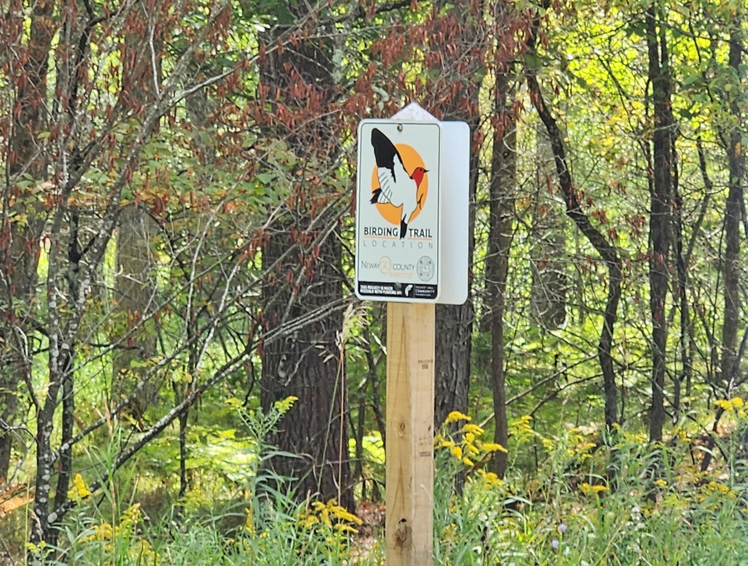 9557 East Anthony Road Branch, MI 49402 - Photo 83 of 98 birding trail
