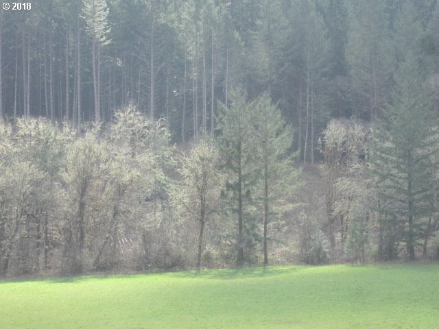 0 Larson Road Roseburg, OR 97471 - Photo 2 of 9 Gallery Image 2