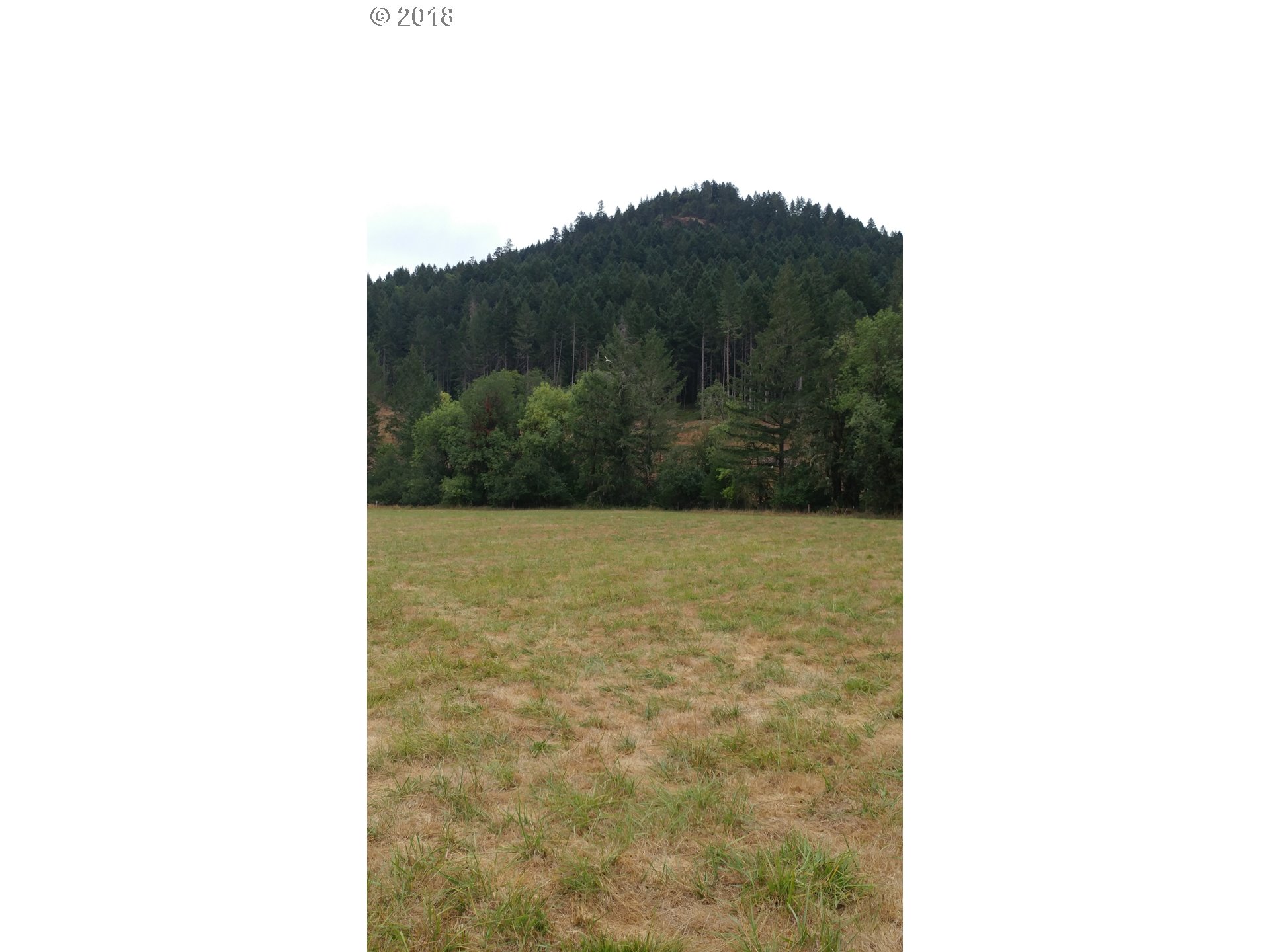 0 Larson Road Roseburg, OR 97471 - Photo 3 of 9 Gallery Image 3