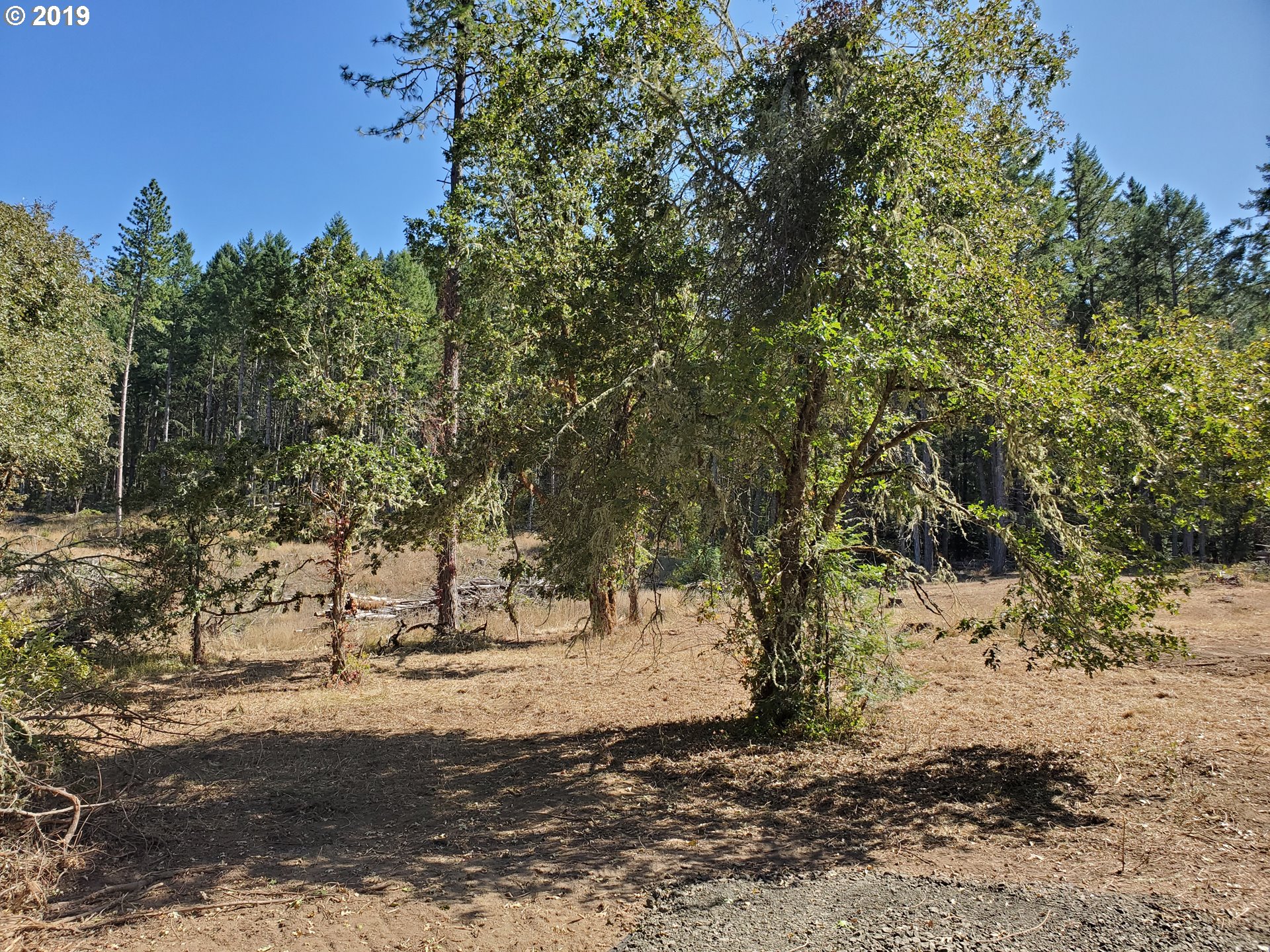 0 Larson Road Roseburg, OR 97471 - Photo 6 of 9 Gallery Image 6