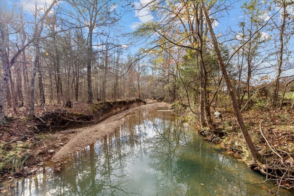 1697 Curtis Chapel Road McEwen, TN 37101 - Photo 71 of 71 Gallery Image 71