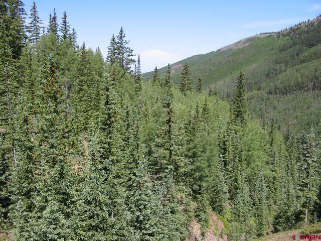 6879 Forbes Road Fort Garland, CO 81133 - Photo 3 of 17 Gallery Image 3