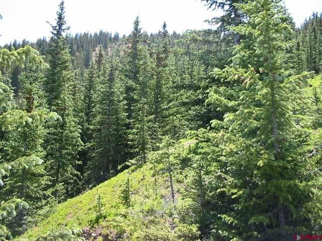 6879 Forbes Road Fort Garland, CO 81133 - Photo 5 of 17 Gallery Image 5
