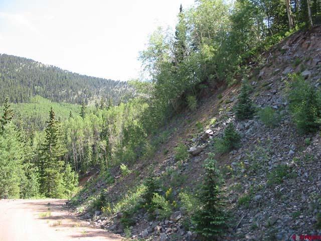 6879 Forbes Road Fort Garland, CO 81133 - Photo 8 of 17 Gallery Image 8