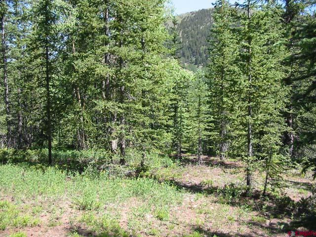 6879 Forbes Road Fort Garland, CO 81133 - Photo 9 of 17 Gallery Image 9