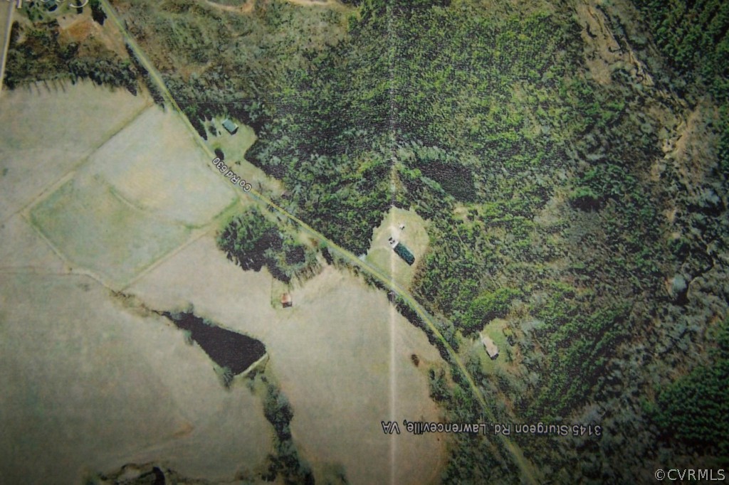 45-acres Sturgeon Road Dolphin, VA 23843 - Photo 3 of 5 Gallery Image 3