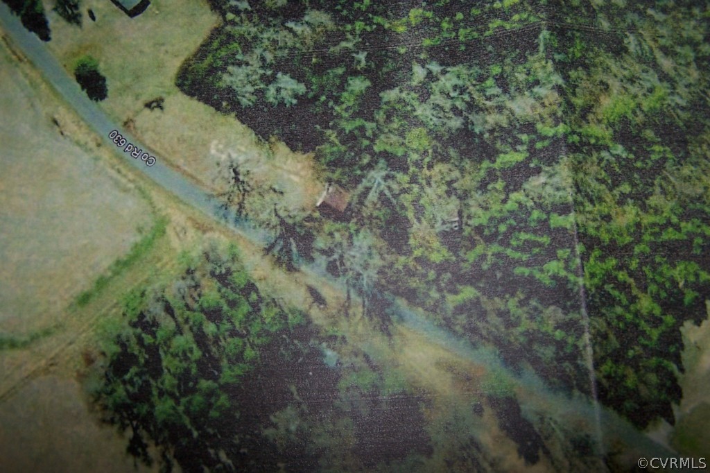 45-acres Sturgeon Road Dolphin, VA 23843 - Photo 5 of 5 Gallery Image 5