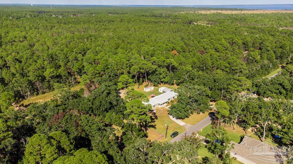 5600 Porpoise Road Milton, FL 32583 - Photo 8 of 50 Gallery Image 8