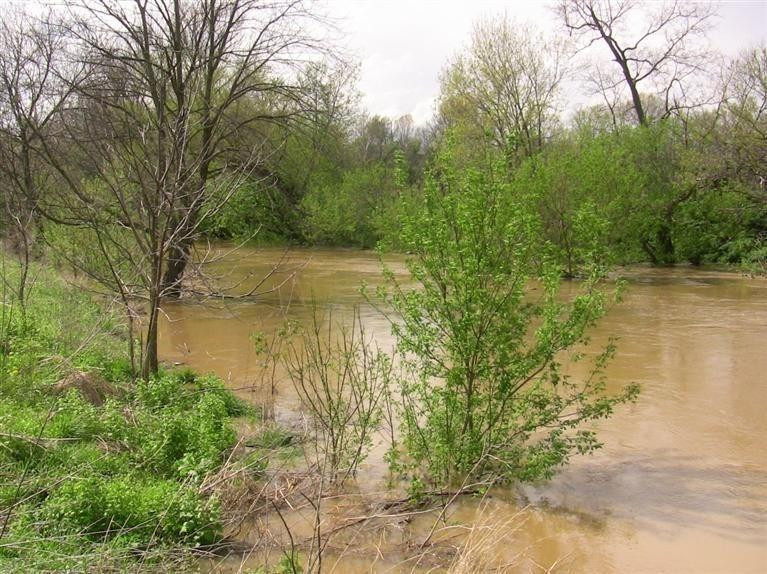 1 Paynes Mill Road Versailles, KY 40383 - Photo 4 of 36 Photo 4